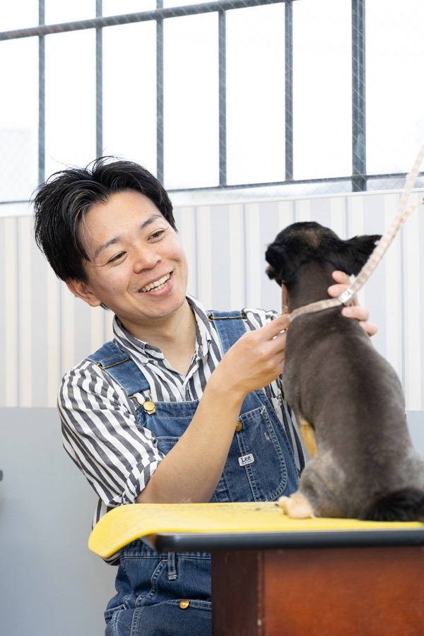 フレンチブルドッグのお手入れをするトリマー
