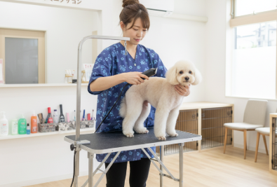 トリミングサロン